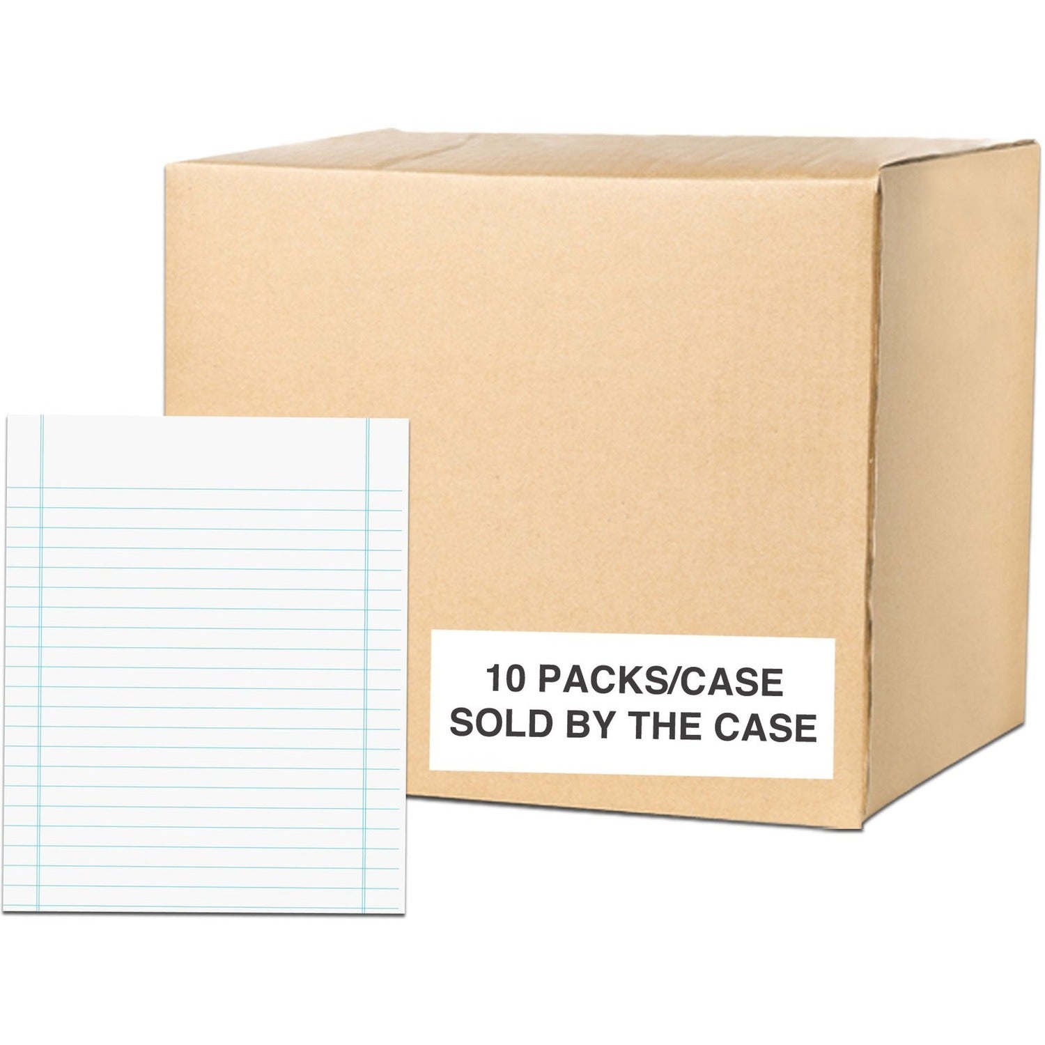 250 Sheets - 500 Pages - Printed - Both Side Ruling Surface - Blue Margin - 20 lb Basis Weight - 75 g/m² Grammage - 10" x 8" Sheet Size - 2" Height x 8" Width x 10" Length - White Paper - Poly Wrapped - 250/Pack - 1 Carton