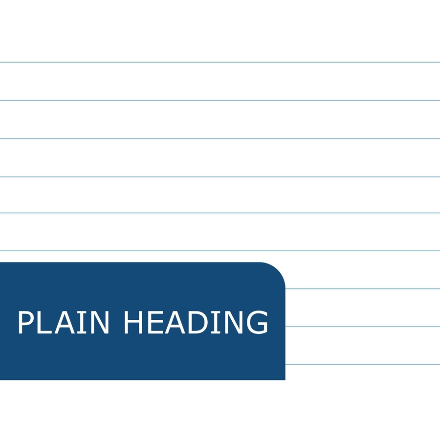 250 Sheets - 500 Pages - Printed - Both Side Ruling Surface - Blue Margin - 20 lb Basis Weight - 75 g/m² Grammage - 10" x 8" Sheet Size - 2" Height x 8" Width x 10" Length - White Paper - Poly Wrapped - 250/Pack - 1 Carton
