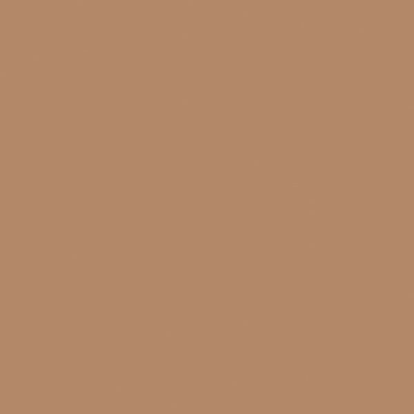 Riverside 100% Vat Dyed Groundwood Pulp Heavy Weight Recycled Construction Paper, 76 Lb, 12 X 18 Inches, Light Brown, Pack of 50