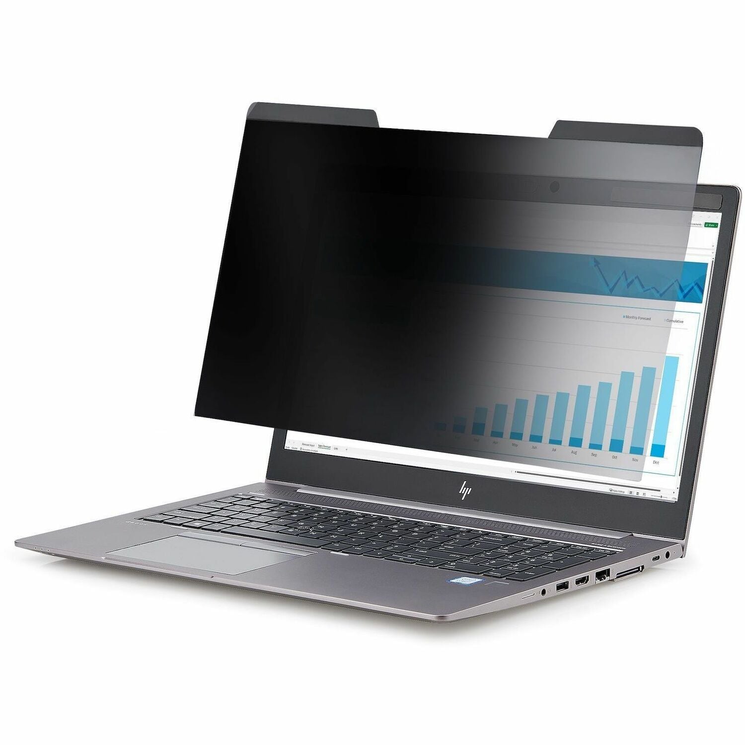 StarTech.com Privacy Screen Filter Black, Transparent