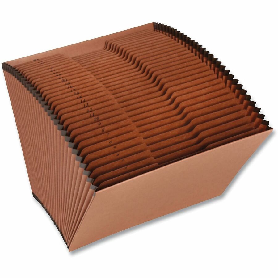 8 1/2" x 11" - Capacity7/8" Expansion - 31 Pocket(s) - Assorted Tab Position - Redrope - Redrope - 1 Each