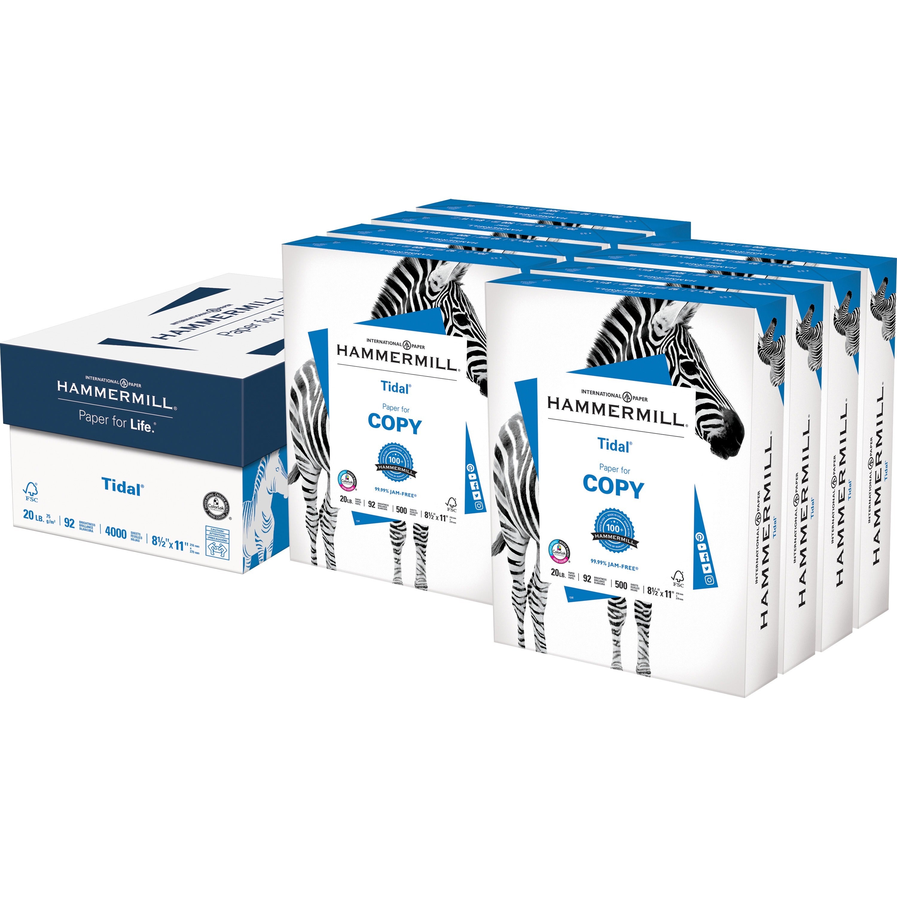 92 Brightness - Letter - 8 1/2" x 11" - 20 lb Basis Weight - 75 g/m² Grammage - White - 500 Sheets per Ream - 8 / Carton