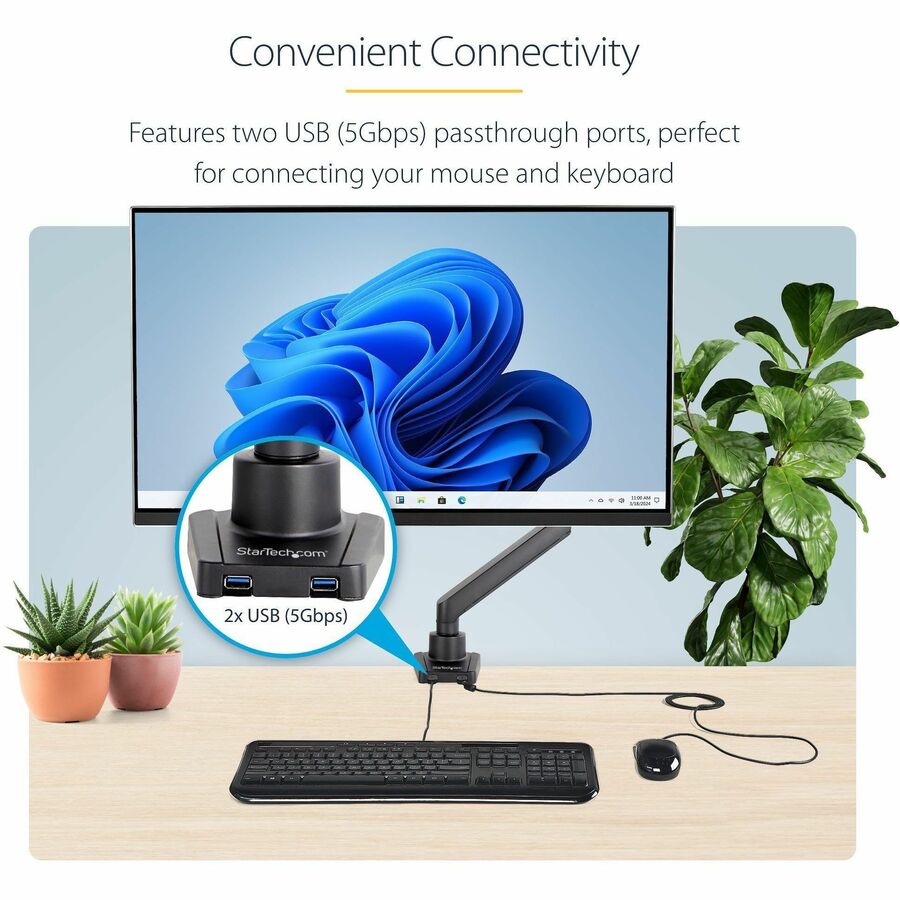 StarTech.com ARMSLIM2USB3 Mounting Arm for Monitor, Curved Screen Display, Flat Panel Display - Black
