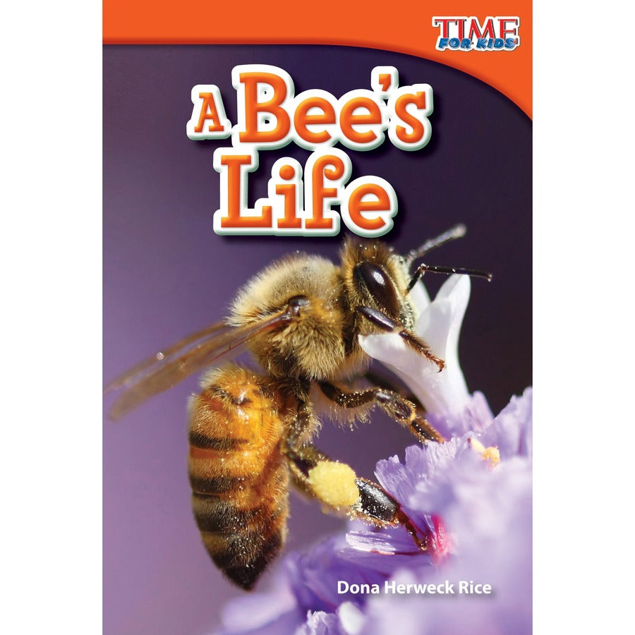 Shell Education Learn-At-Home Summer Science Set Printed Book by Jodene Smith - 196 Pages - Book - Grade 1-2 - Multilingual