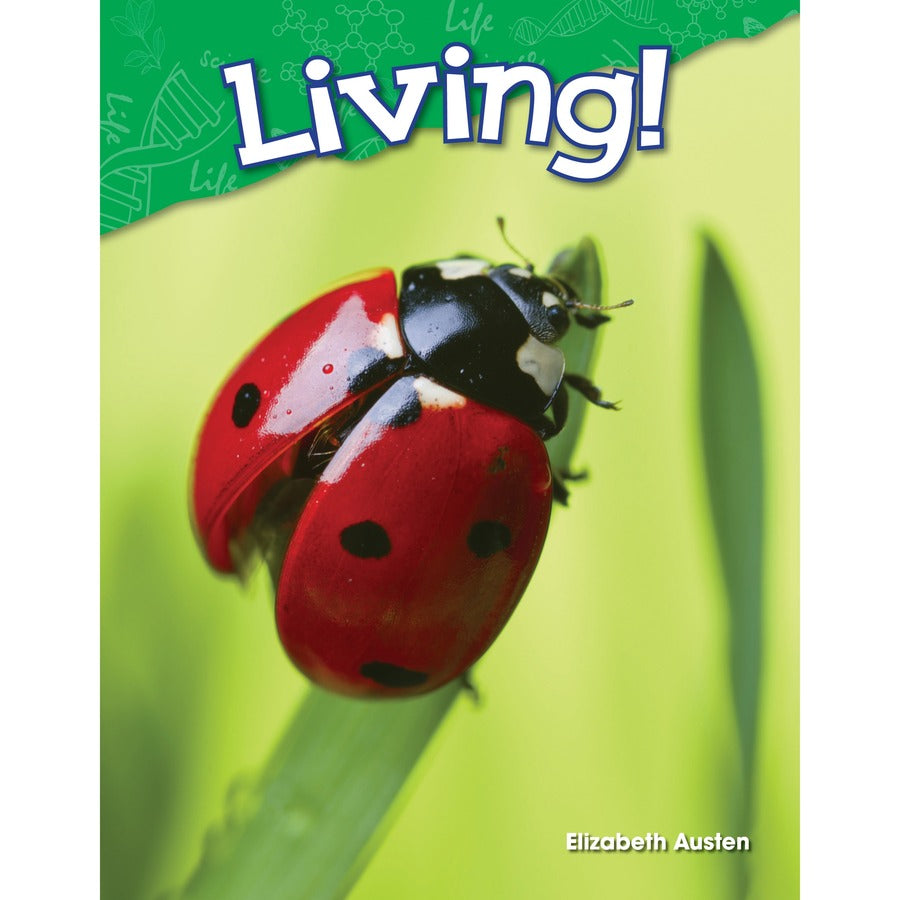 Shell Education Learn-At-Home Summer Science Set Printed Book by Jodene Smith - 188 Pages - Book - Grade Pre K-K - Multilingual