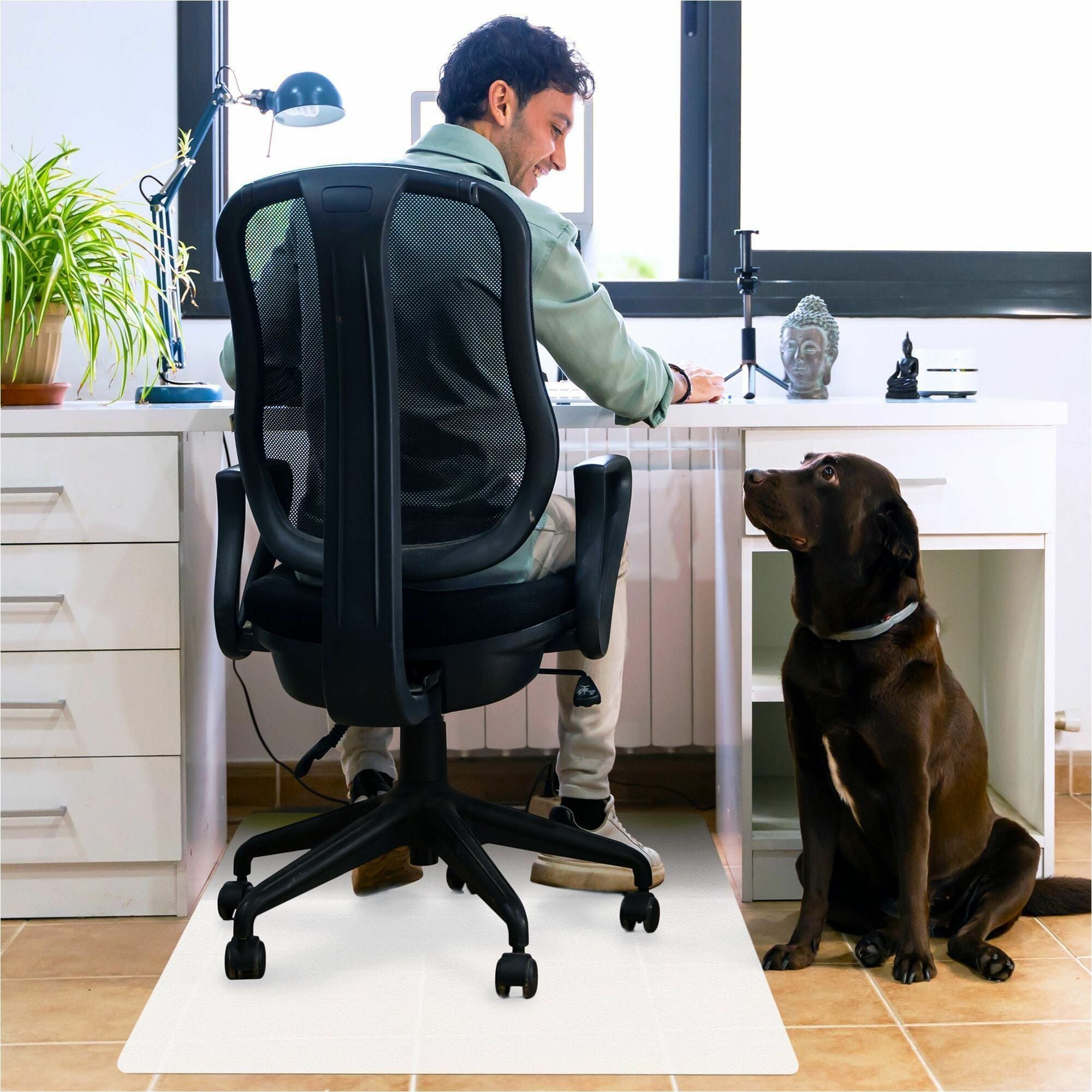 53" Length x 45" Width x 0.070" Depth x 0.070" Thickness - Rectangular - Polypropylene - Translucent - 1 Each