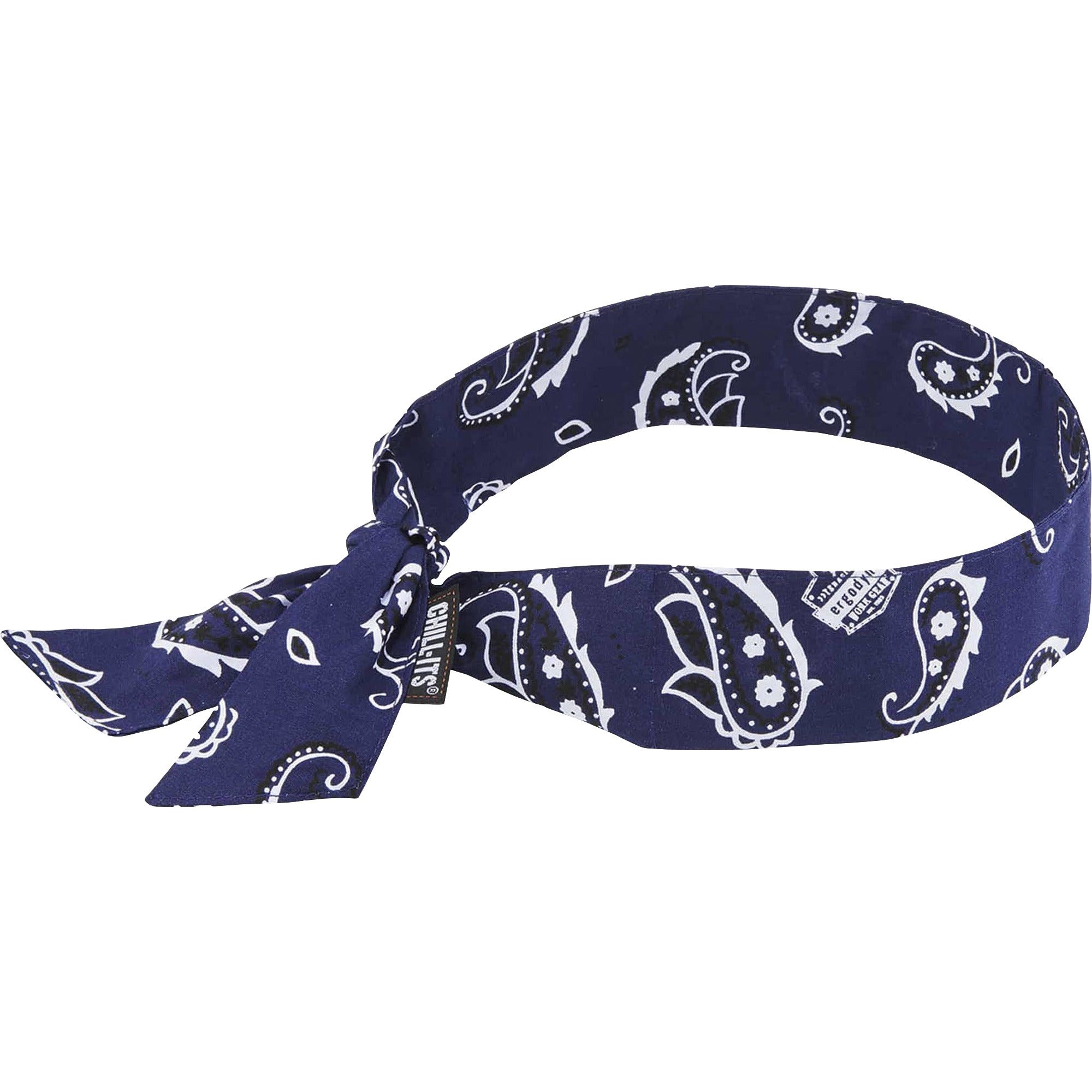 Ergodyne 6700 Cooling Bandana - Blue - Cotton, Polymer
