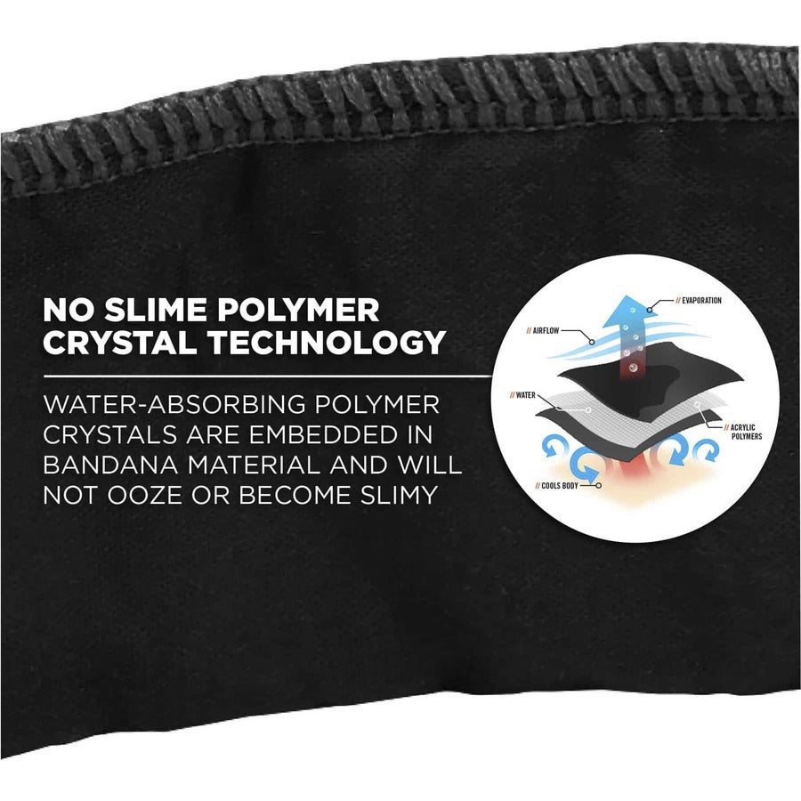 Ergodyne 6702 Cooling Bandana - Black - Polymer