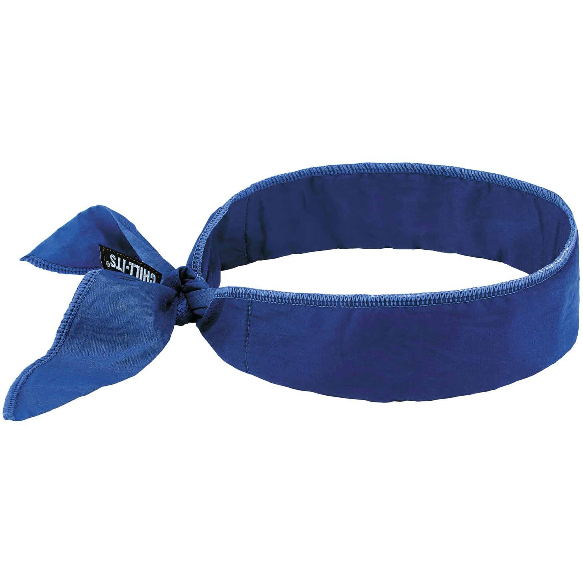 Ergodyne 6702 Cooling Bandana - Blue - Polymer