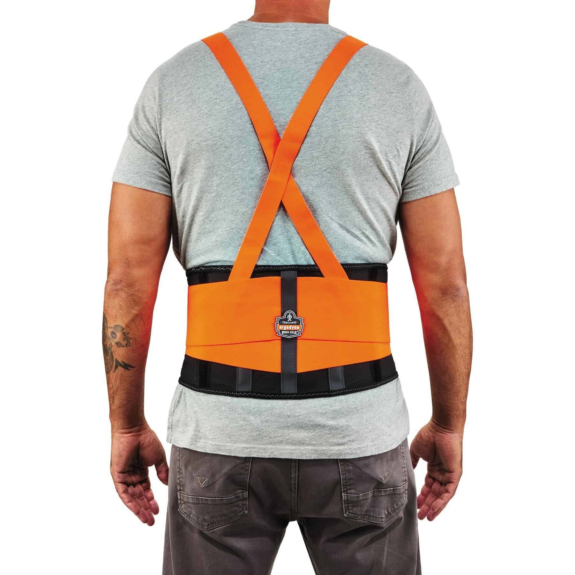 Ergodyne ProFlex 100HV Economy Hi-Vis Back Brace - 30" to 34" Waist Size - Orange - Spandex, Rubber, Polypropylene - 1 Each