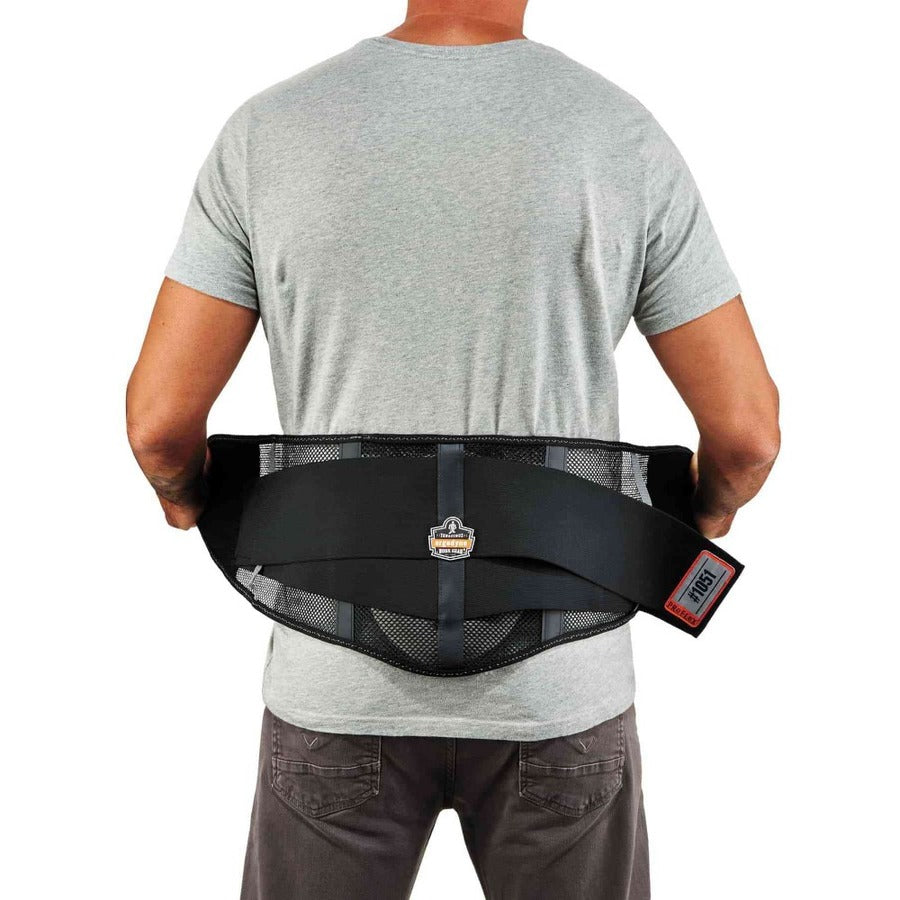 Ergodyne ProFlex 1051 Mesh Back Support with Lumbar Pad, Black, Mesh Fabric, Small, 1 Each