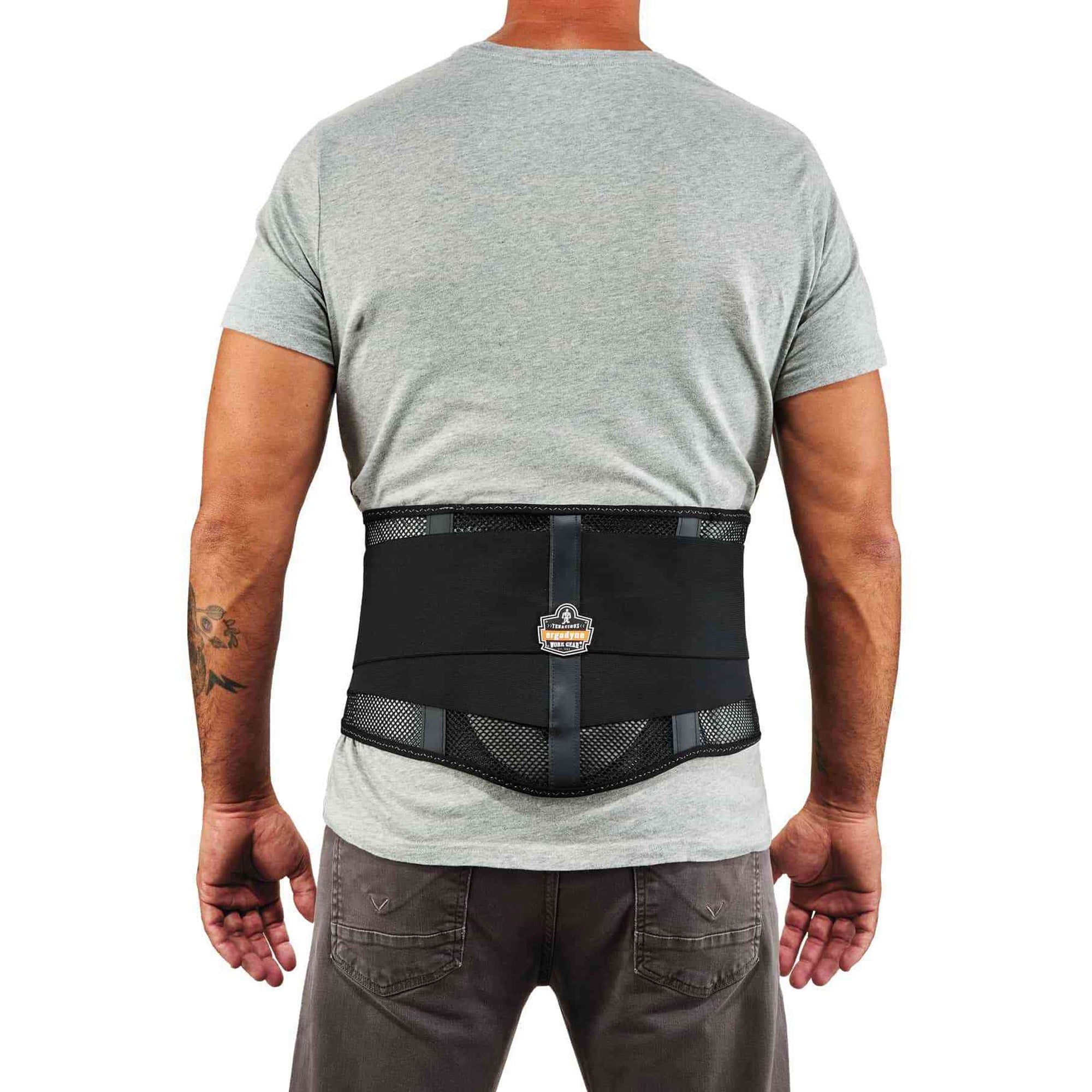 Ergodyne ProFlex 1051 Mesh Back Support with Lumbar Pad, Black, Mesh Fabric, Medium, 1 Each