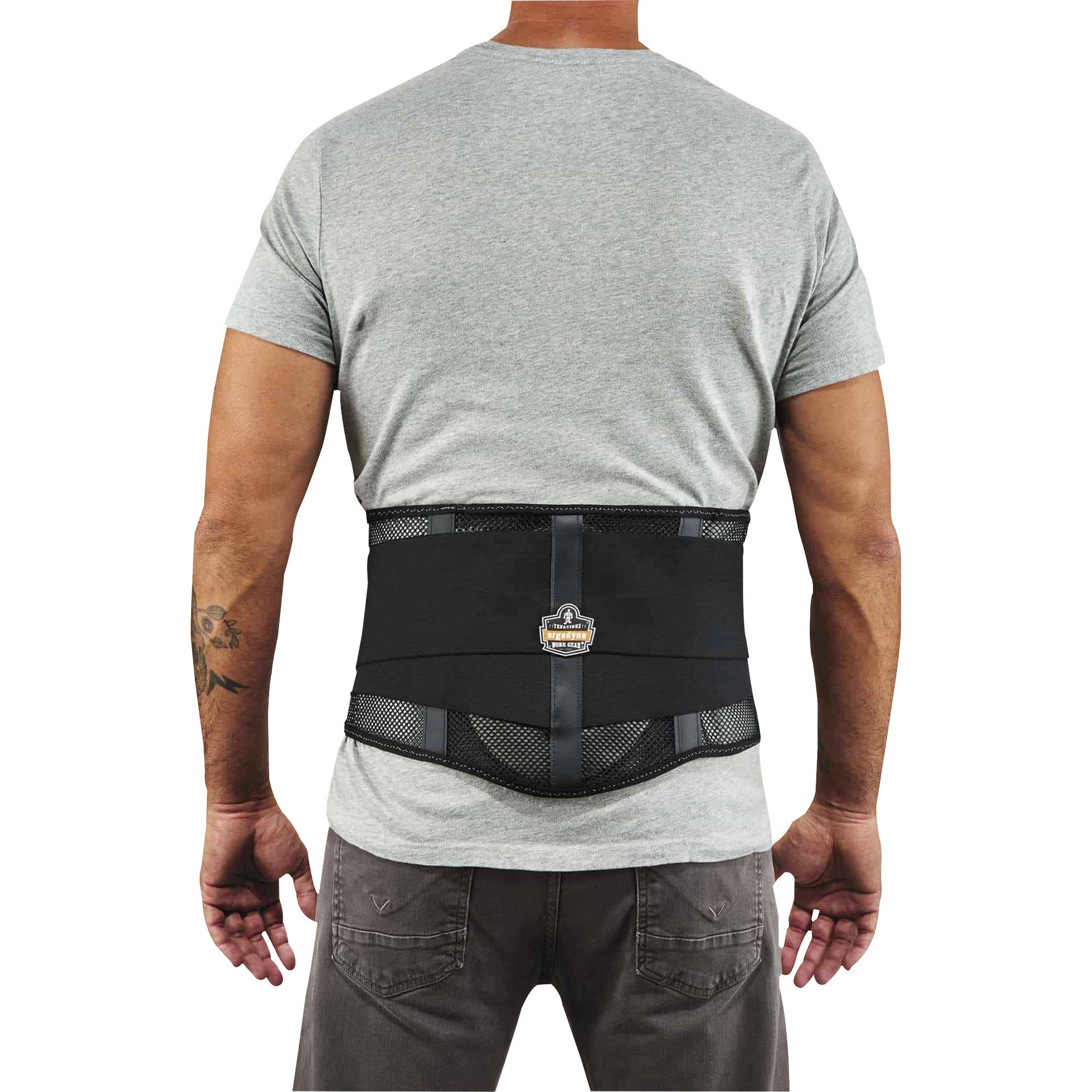Ergodyne ProFlex 1051 Mesh Back Support with Lumbar Pad, Black, Mesh Fabric, Extra Large (XL), 1 Each