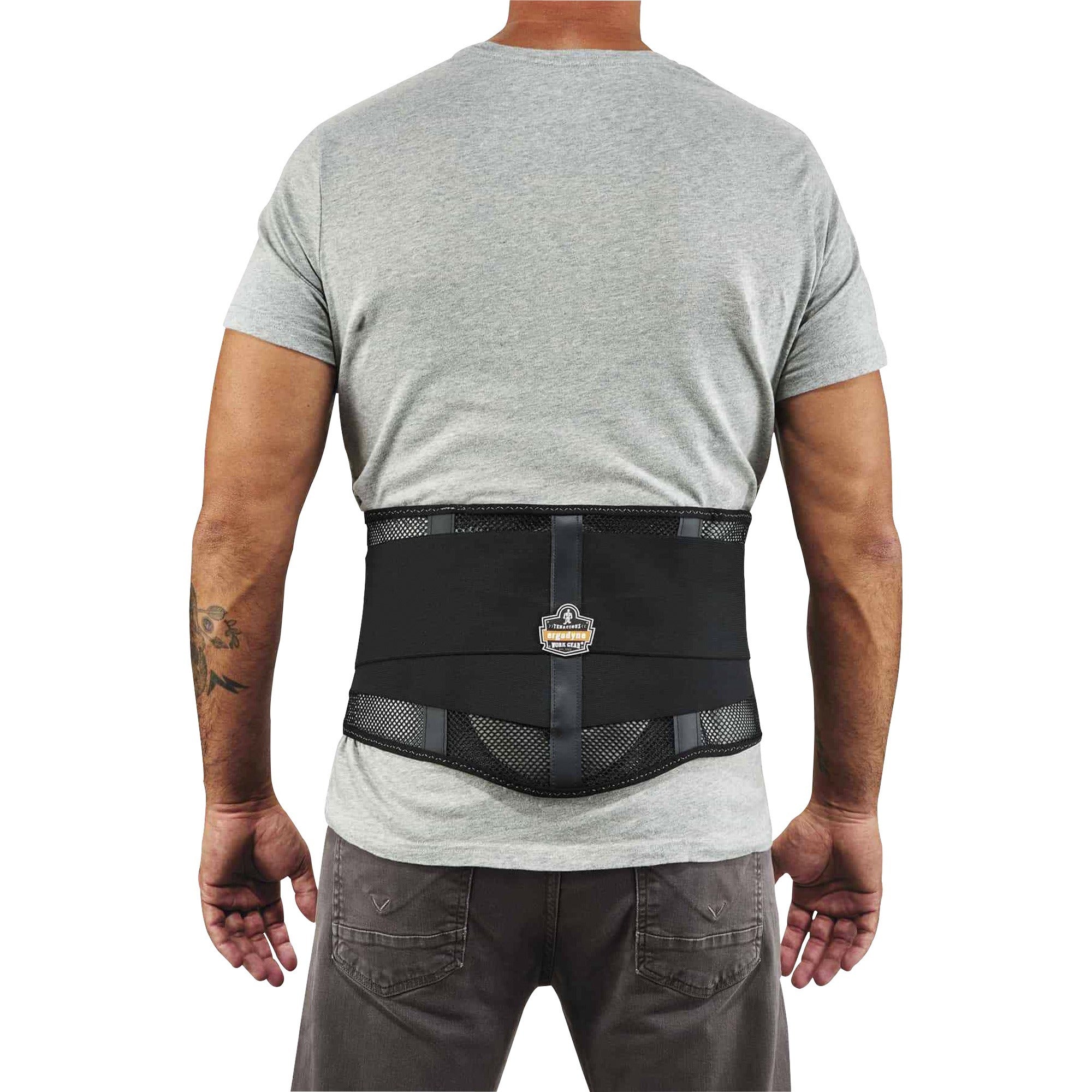 Ergodyne ProFlex 1051 Mesh Back Support with Lumbar Pad, Black, Mesh Fabric, XXL, 1 Each
