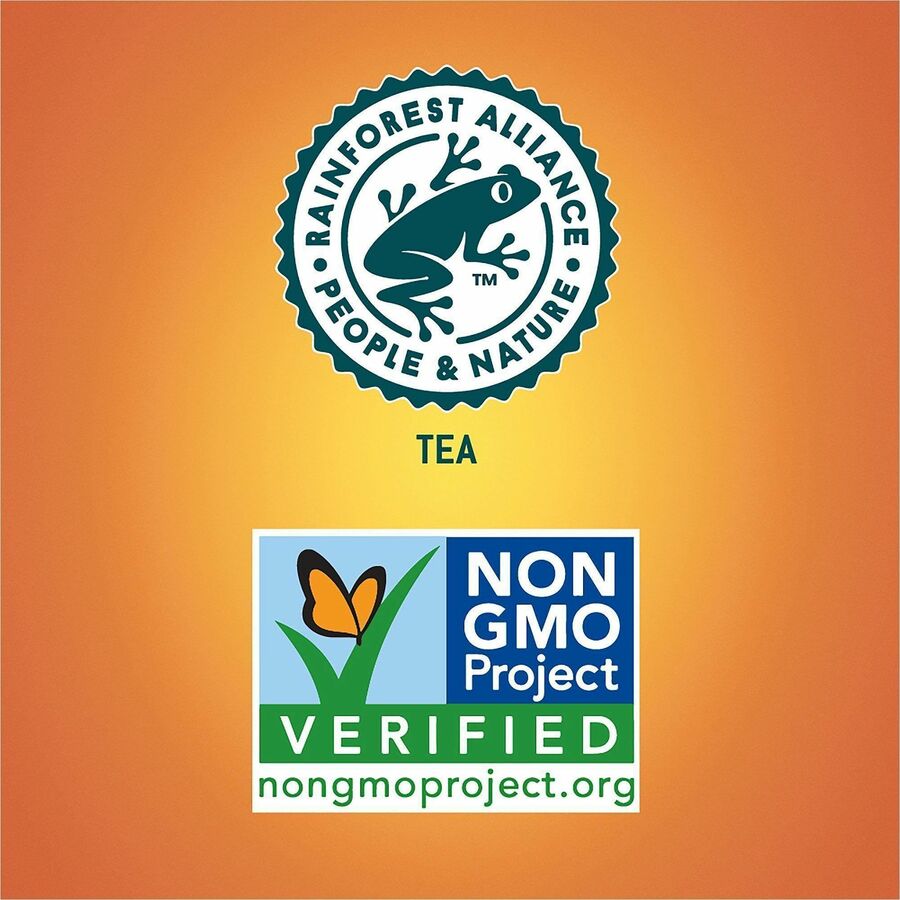 Tejava Lemon Black Tea Bottle - Black Tea - GMO Free - 24 / Carton
