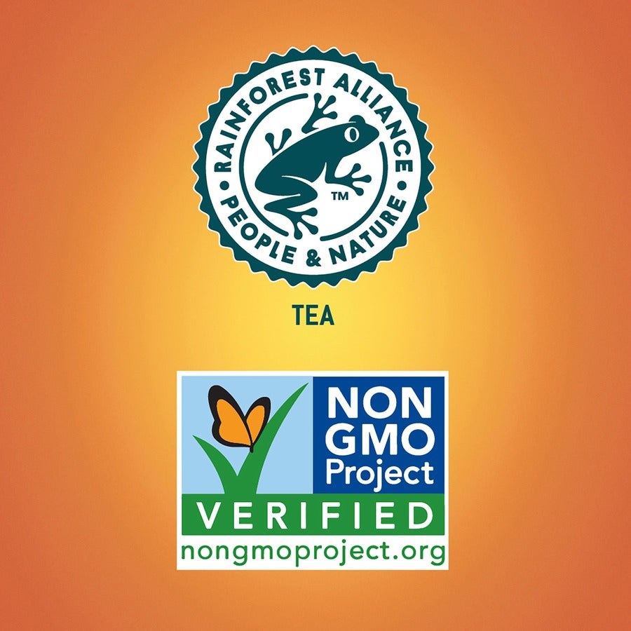 Tejava Lemon Black Tea Bottle - GMO Free - 12 / Carton
