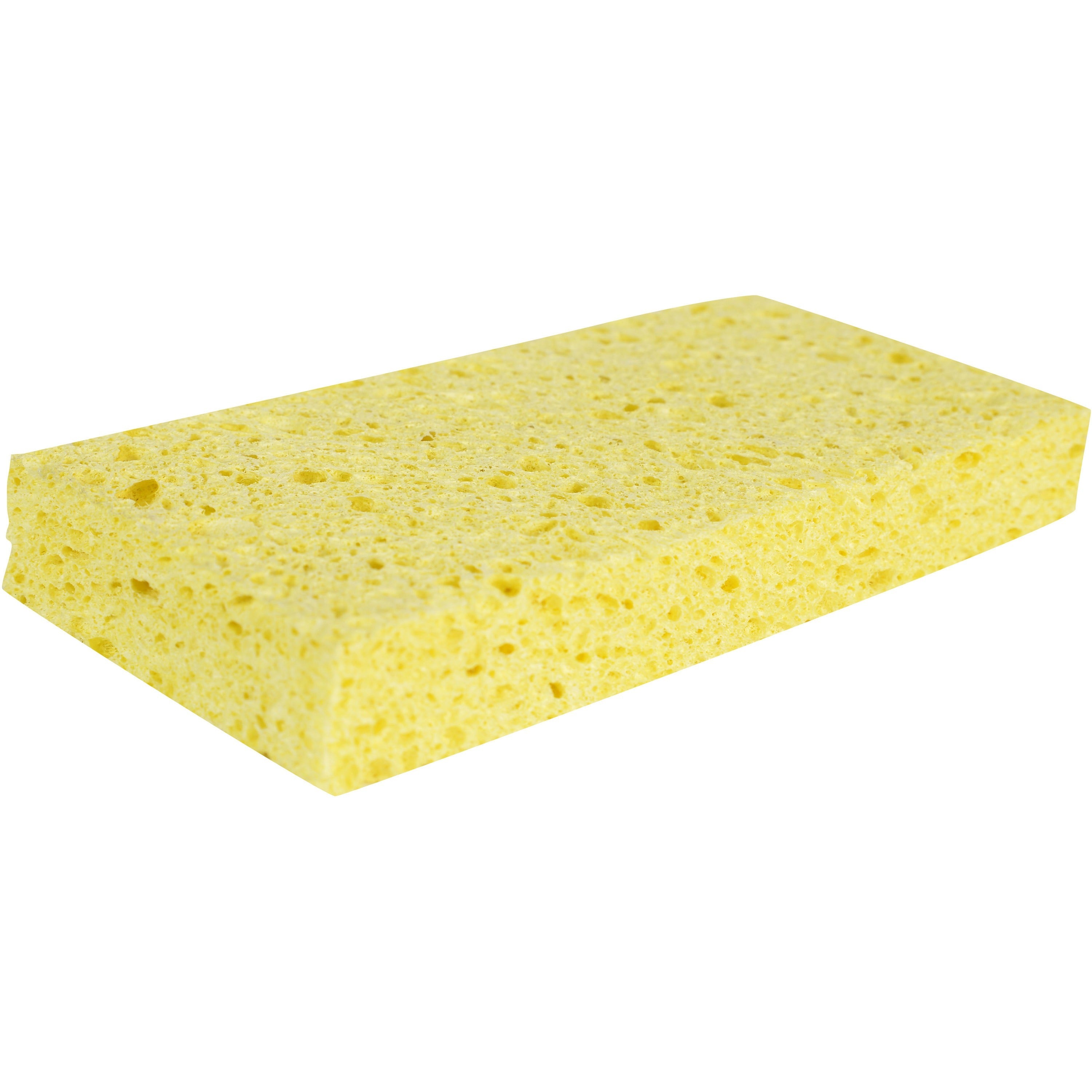 6" Height x 3.7" Width x 1.6" Thickness - 24 / Carton - Cellulose - Yellow