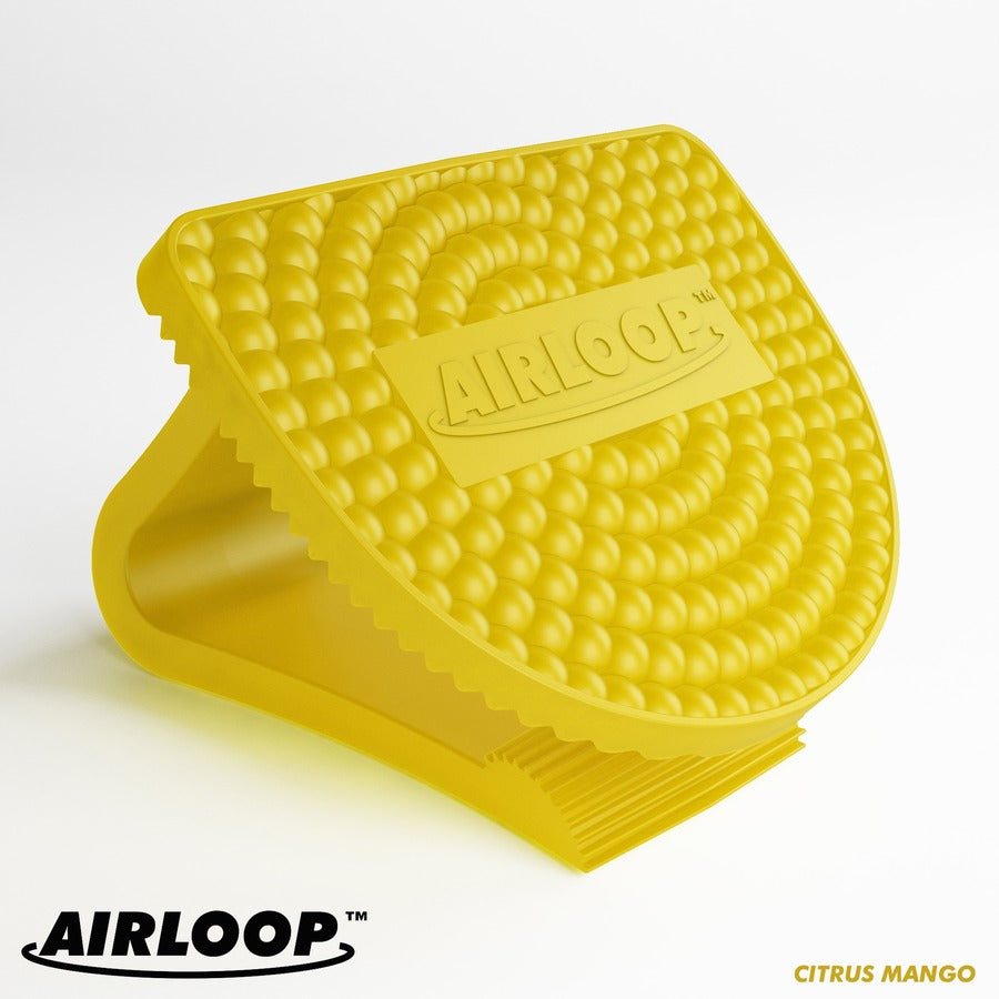 Vectair Systems Airloop Toilet Bowl Clip Air Freshener - Clip - 3000 ft³ - Citrus Mango - 30 Day - 10 / Carton