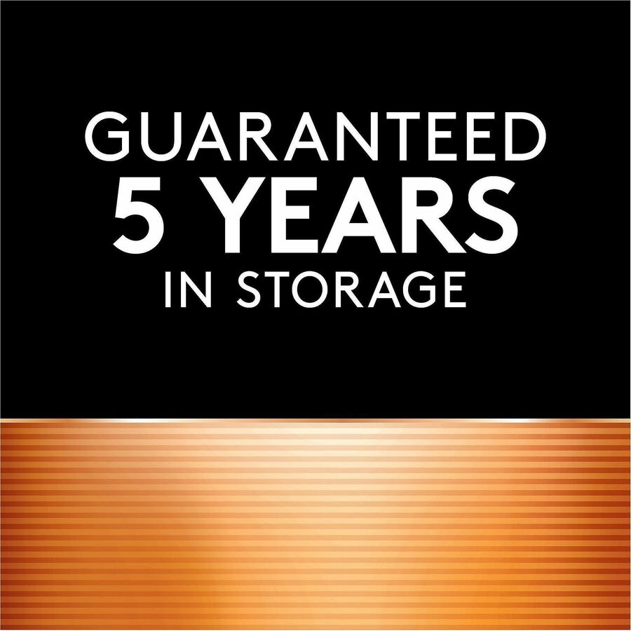 Duracell 12-Volt Security Battery