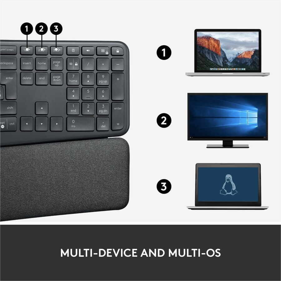 Wireless Connectivity - Bluetooth - 32.81 ft - ChromeOS - PC, Mac - AAA Battery Size Supported - Graphite