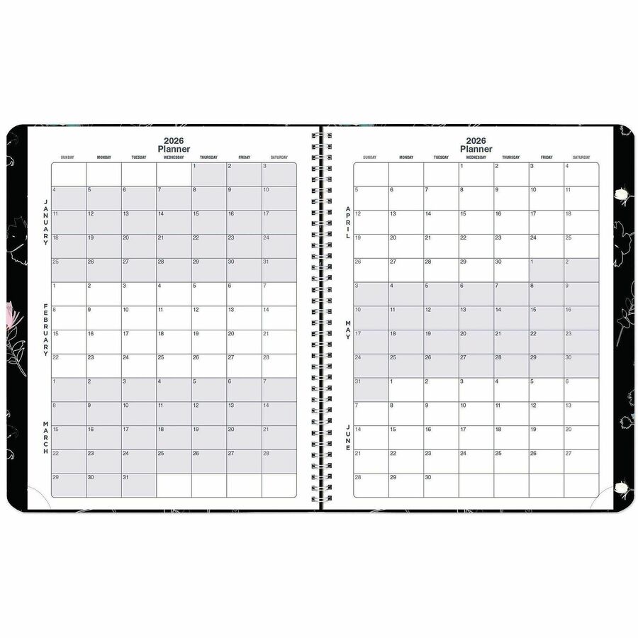 Rediform Watercolor Weekly/Monthly Planner
