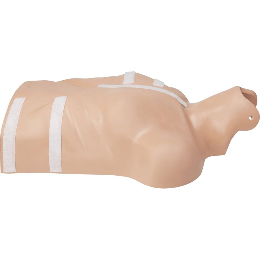 ZOLL CPR-D Demo Manikin