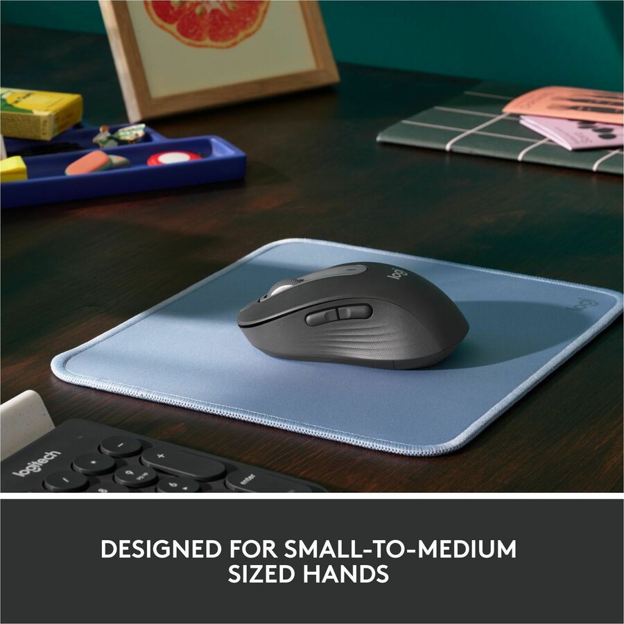 Wireless - 33 ft - Bluetooth/Radio Frequency - Graphite - USB - 4000 dpi - Scroll Wheel - 5 Button(s) - Medium Hand/Palm Size - Right-handed - 1 x AA Battery Supported - 2 Year Battery Run Time - 1 Each