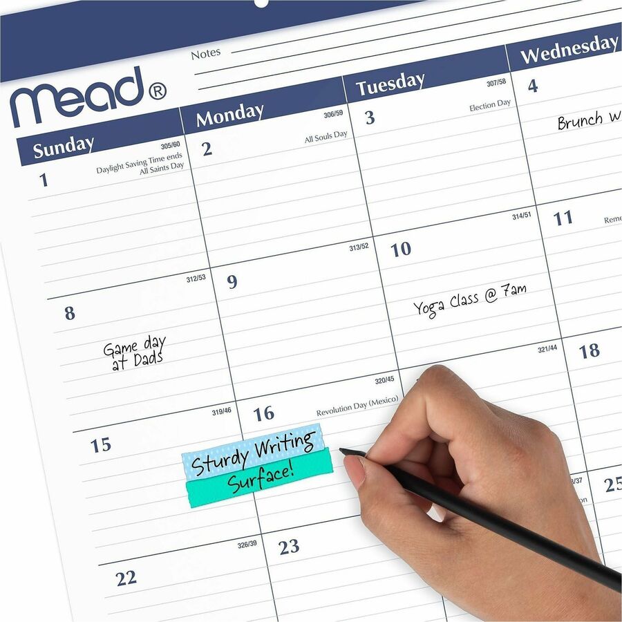 Cambridge Basic 2025-2026 Monthly Desk Pad Calendar, Standard, 21 3/4" x 17"