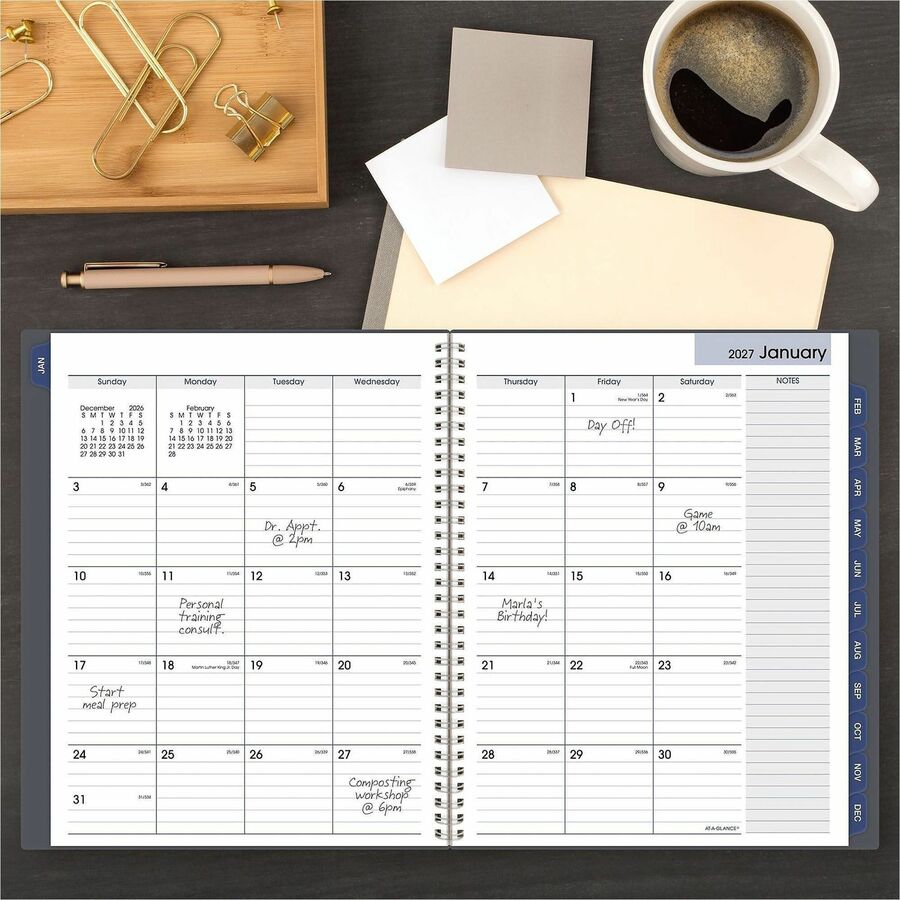 At-A-Glance DayMinder Monthly Planner