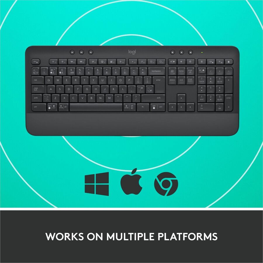 Wireless Connectivity - Bluetooth/RF - 5.1 - 32.81 ft - ChromeOS - PC, Mac - AA Battery Size Supported - Graphite