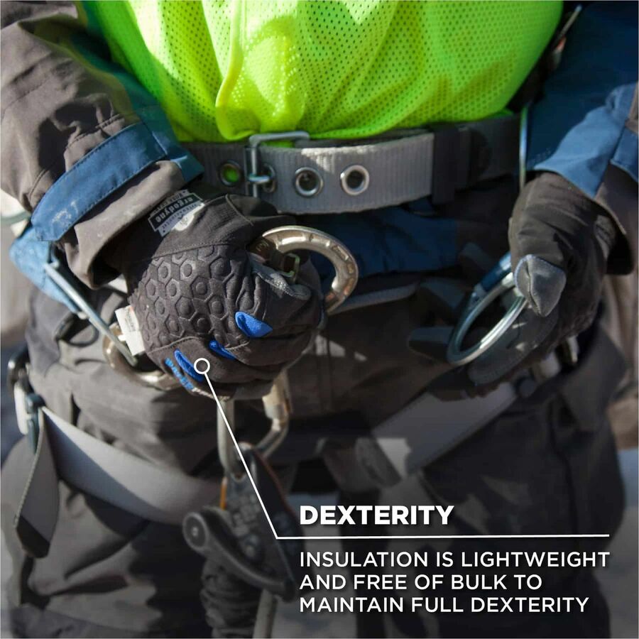 Ergodyne 818WP Thermal Waterproof Work Gloves, Medium, Black, 5" Length, Touchscreen Capable, Machine Washable, Windproof, Weather Resistant, Reinforced Fingertip, 2 Pairs