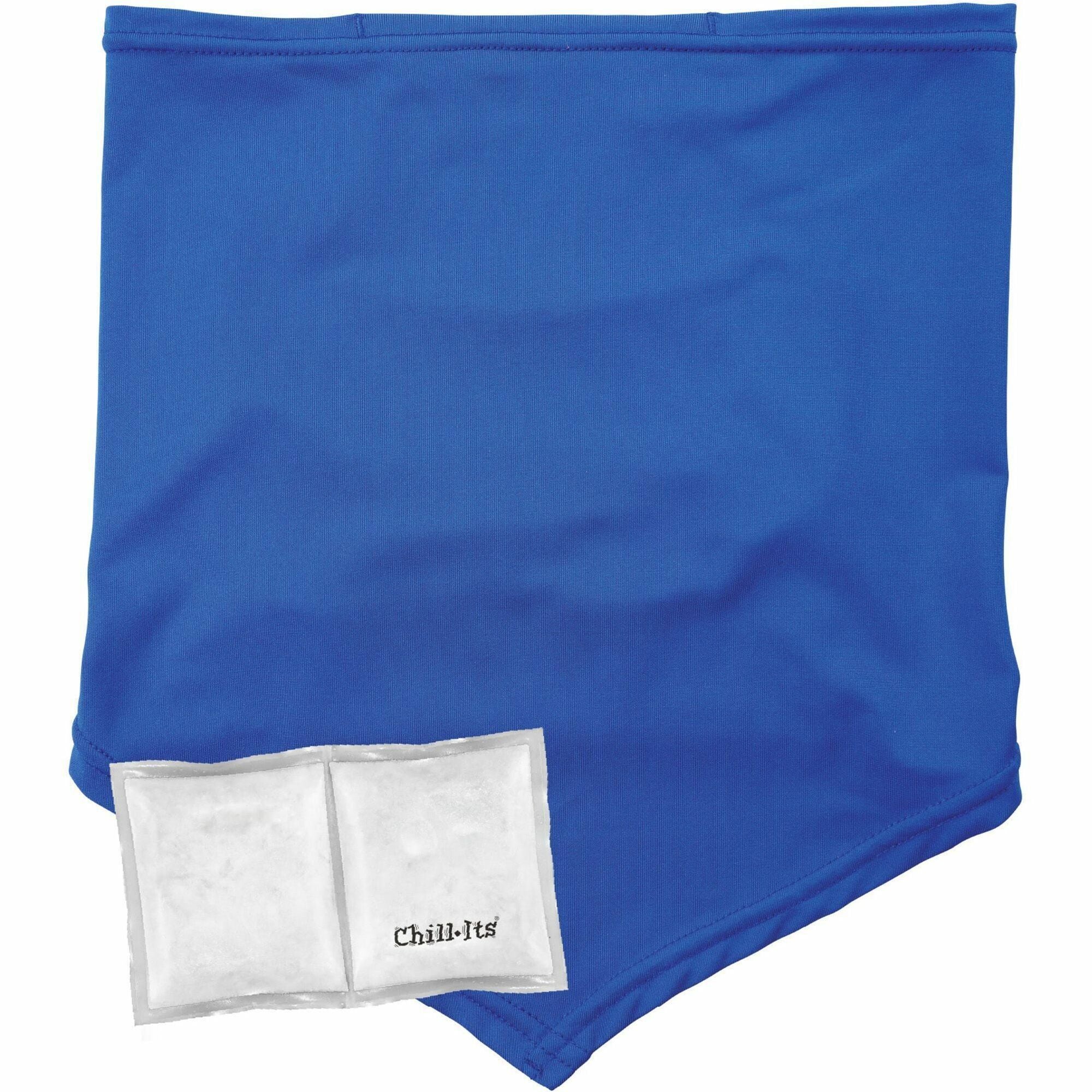 Ergodyne 6482 Cooling Neck Gaiter Bandana with Rechargeable Phase Change Ice Packs, Small/Medium, Blue, 1 Each