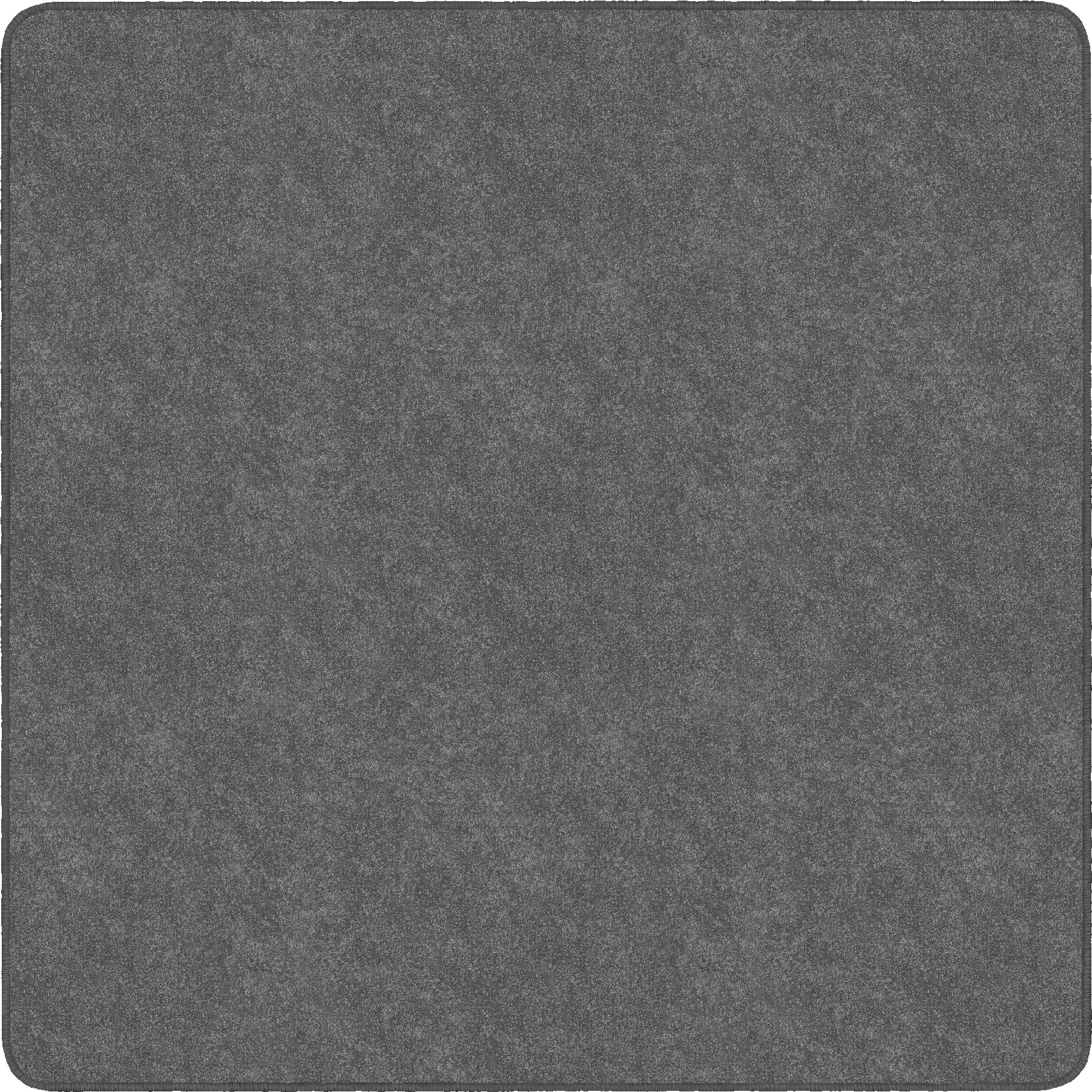 Flagship Carpets Amerisoft Solid Color Rug, 12 ft x 12 ft, Square, Gray, Nylon/Polyester, 1 Each