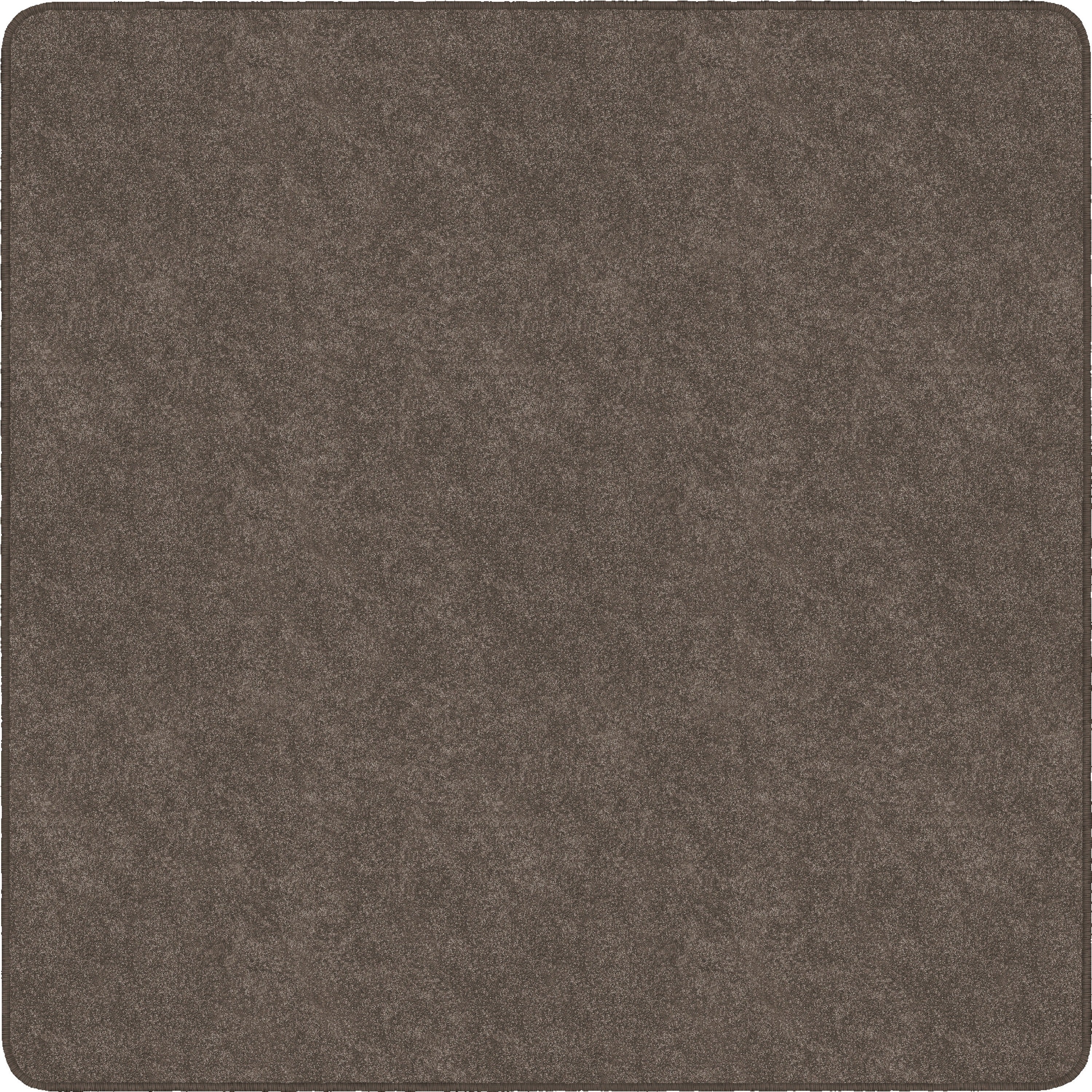Flagship Carpets Amerisoft Solid Color Rug, 12 ft x 12 ft, Square, Wheat, Nylon/Polyester, 1 Each
