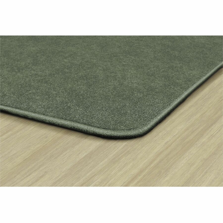Flagship Carpets Amerisoft Solid Color Rug, 12 ft x 12 ft, Square, Sage Green, Nylon/Polyester, 1 Each