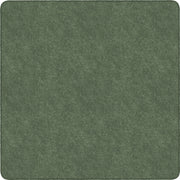 Flagship Carpets Amerisoft Solid Color Rug, 12 ft x 12 ft, Square, Sage Green, Nylon/Polyester, 1 Each
