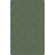 Flagship Carpets Amerisoft Solid Color Rug - 15 ft Length x 12 ft Width - Rectangle - Sage Green - Nylon, Polyester