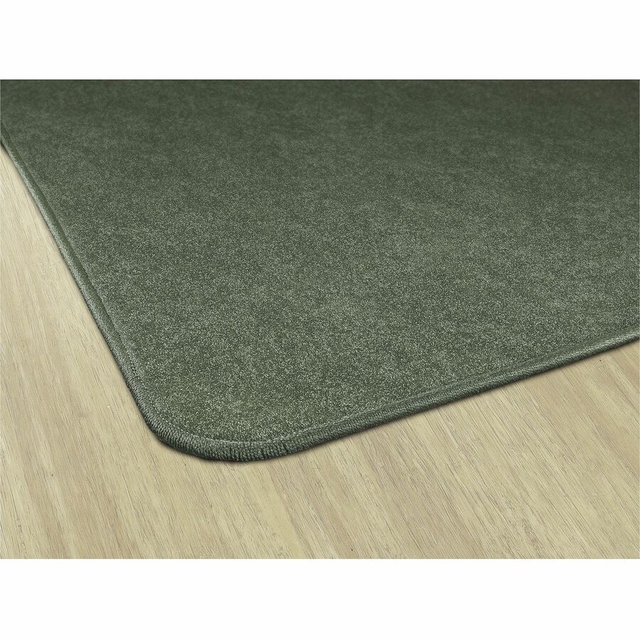 Flagship Carpets Amerisoft Solid Color Rug - 48" Length x 72" Width - Rectangle - Sage Green - Polyester, Nylon