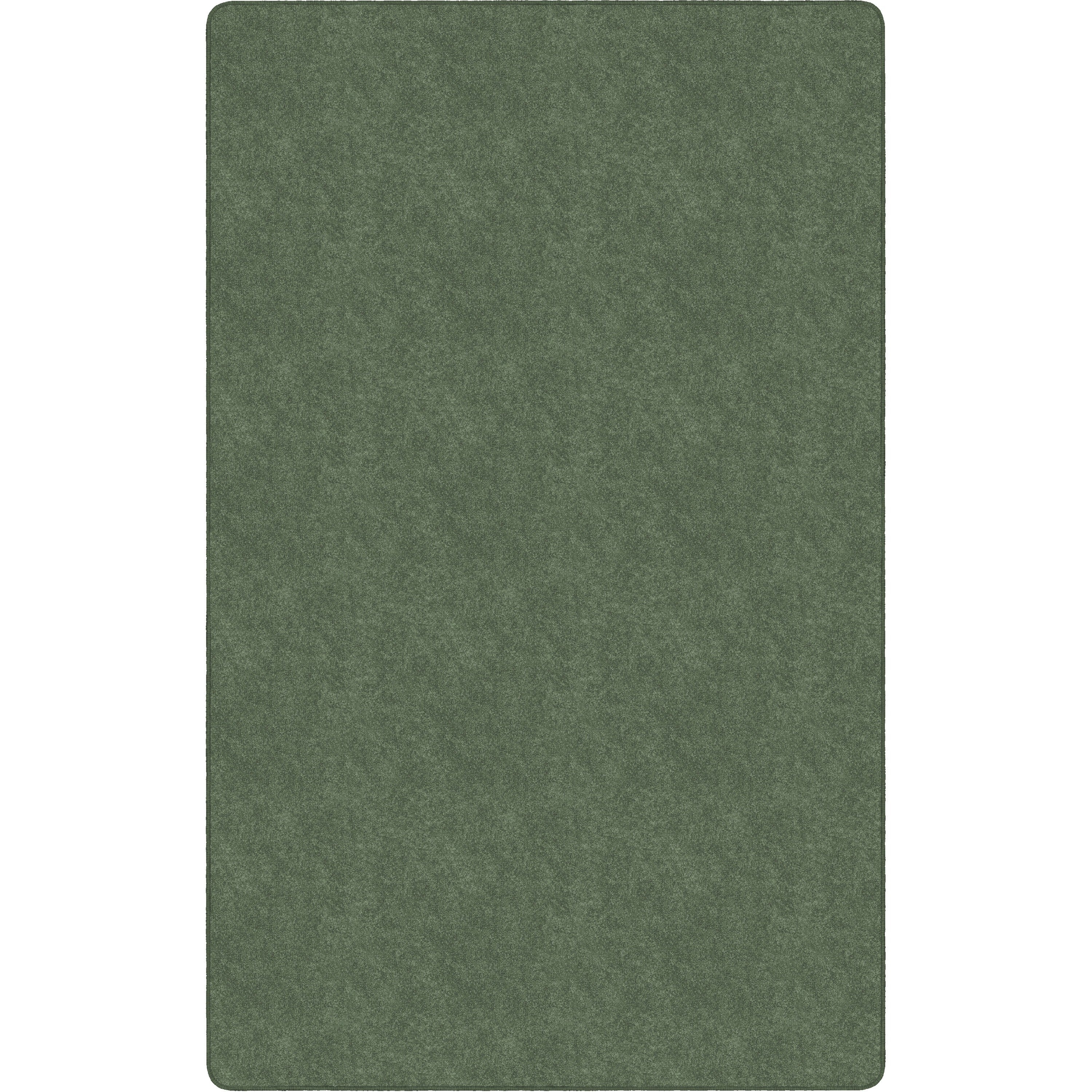 Flagship Carpets Amerisoft Solid Color Rug - 48" Length x 72" Width - Rectangle - Sage Green - Polyester, Nylon
