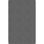 Flagship Carpets Amerisoft Solid Color Rug - 48" Length x 72" Width - Rectangle - Gray - Polyester, Nylon