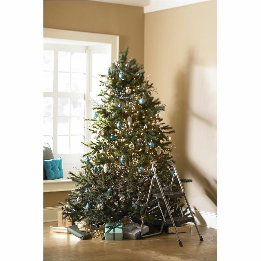 2 Step - 200 lb Load Capacity - Type III - 17.7" Width x 22.8" Depth x 34.6" Height - Platinum, Black