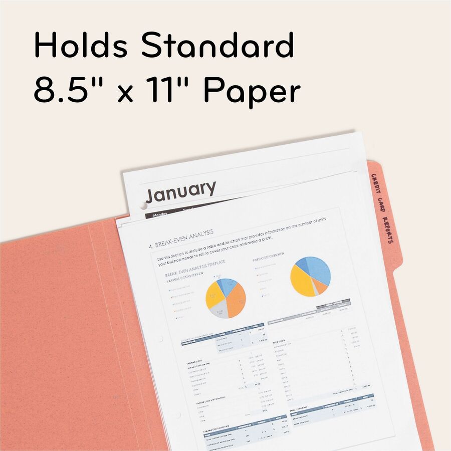8 1/2" x 11" - Assorted Tab Position - Poly - Assorted - 0% Recycled - 24 / Pack