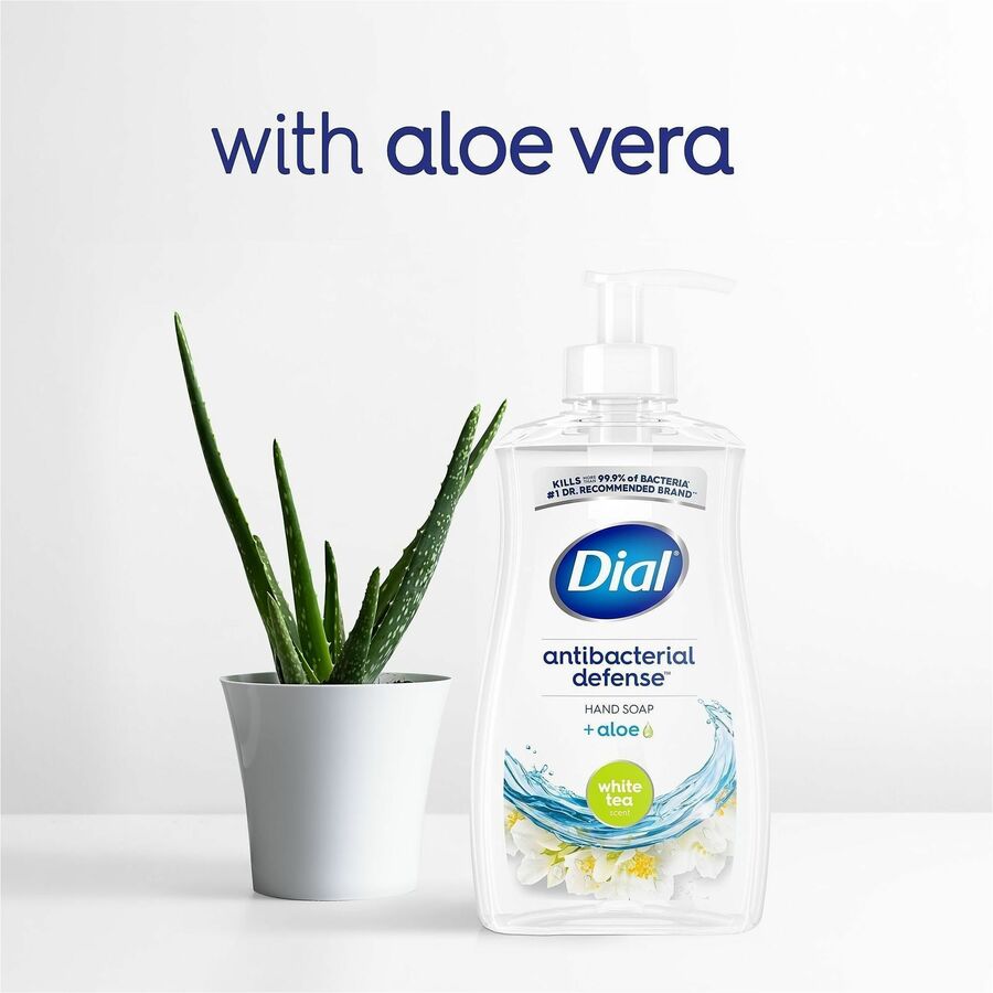 Dial White Tea Antibacterial Hand Soap, White Tea Scent, 11 fl oz Pump, Moisturizing, Clear, 1 Each
