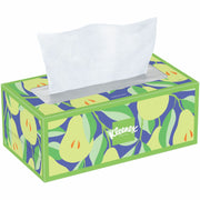 2 Ply - White - Wood PulpBox - 160/Box - 24 / Carton