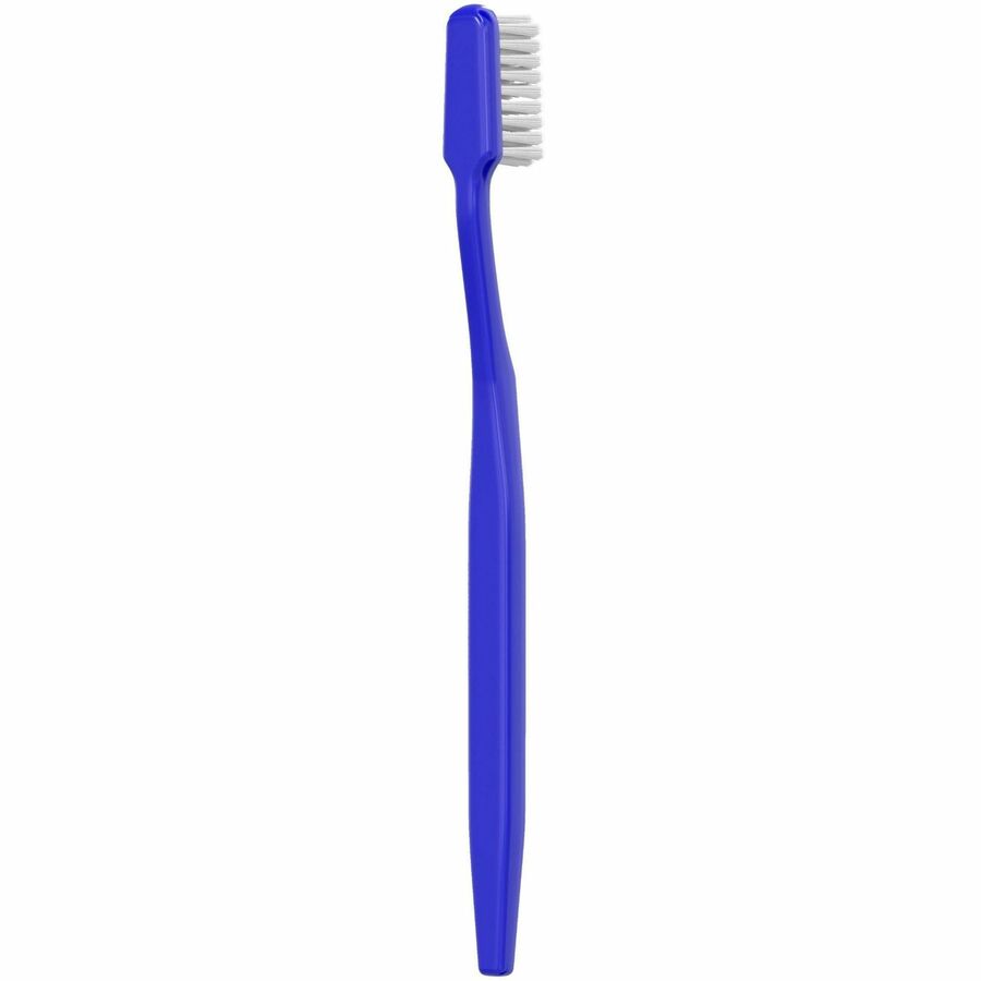 Colgate Full Head Wrapped Toothbrushes