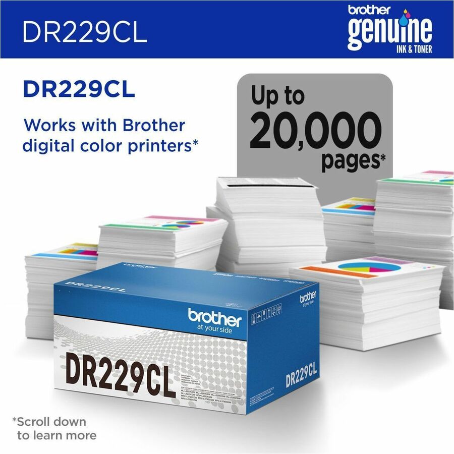 Laser Print Technology - 20000 Pages - 1 Each