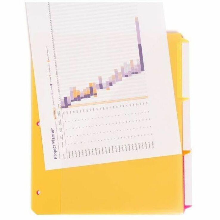 Assorted Tab(s) - 1/3 - Letter - 8.50" Width x 11" Length - 3 Hole Punched - Yellow, Orange, Pink, Green, Blue, Purple Divider - Poly Tab(s) - Acid-free, Hole-punched, Heavyweight, Durable, Pocket, Tear Resistant, Water Resistant - 30 / Box