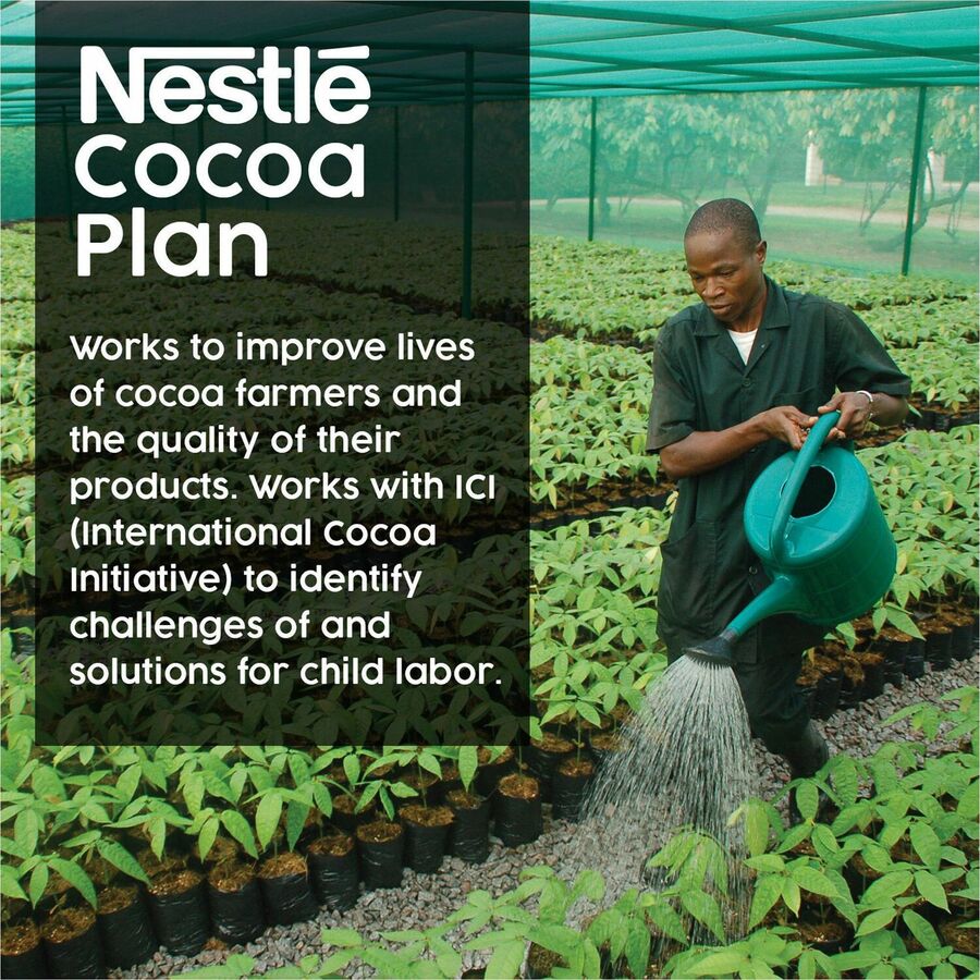 Nestle Abuelita Mexican Style Hot Chocolate Mix
