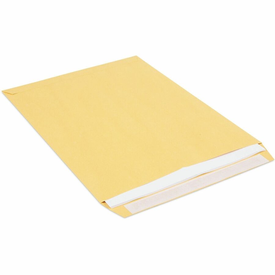 Universal Envelope, Catalog, #10 1/2, 28 lb, Self Adhesive, Natural Kraft, Kraft Paper, 100/Box