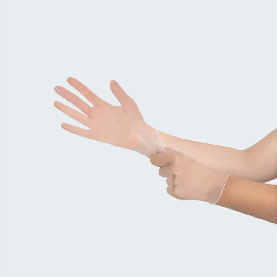 Remcoda Powder-Free Vinyl Gloves - 3 mil Thickness - X-Large Size - For Right/Left Hand - Vinyl - Clear - Comfortable, Latex-free - 100 / Box